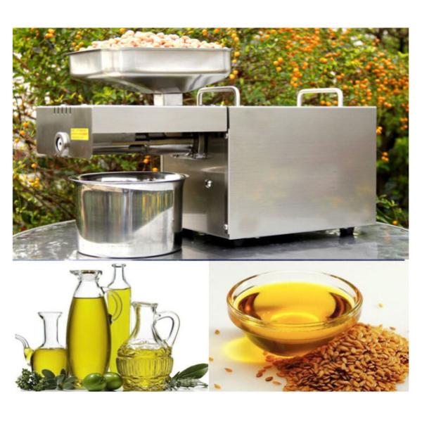 Uganda Sesame Oil Making Machine with 2-3kg/Hour Capacity and 304 Stainless Steel Material