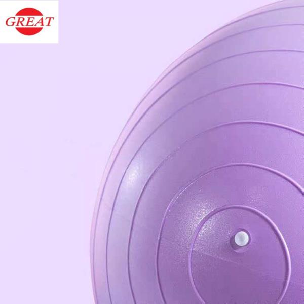 Fitness yoga ball of 65cm Anti Burst PVC Gym Ball