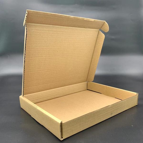 Eco-friendly Kraft Paper Cartons for Retail and Wholesale Shipping with Custom Logo and Printing Solutions