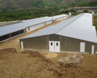 Estructura de construcción modular con estructura de acero ligero prefabricada para granja avícola de pollos