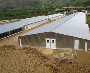 Prefab Light Steel Frame Construction Structure Modular Frame Chicken Poultry