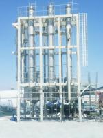 abacaxi Juice Processing Line da pera de 60T/Day Apple