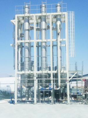 abacaxi Juice Processing Line da pera de 60T/Day Apple