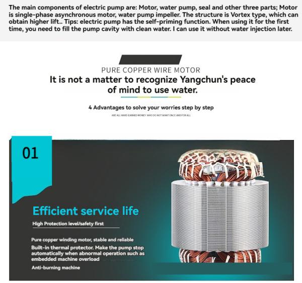 Surface Domestic Pressure Pump Small For House Residential Water Supply