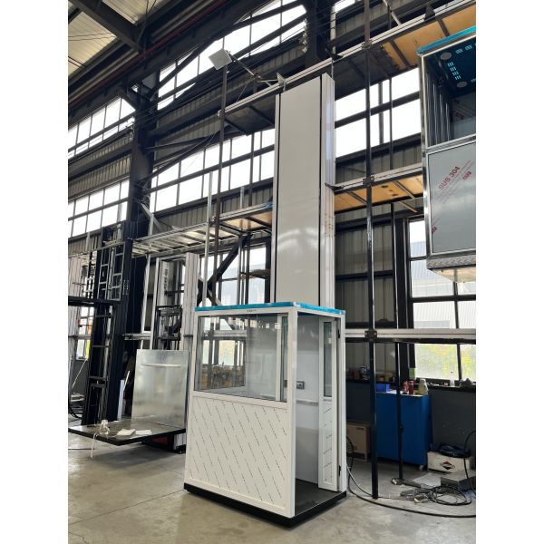 Disabled Wheelchair Vertical Platform Lift with Aluminum Alloy or Stainless Steel