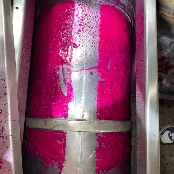 Pitaya Juicing And Pulping Machine SUS304 7.5KW 3T/H
