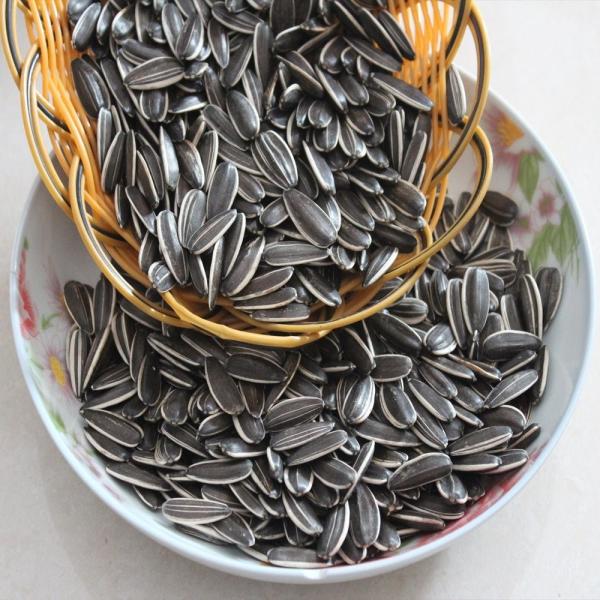 Hot sale 361/363/5009 ect. organic sunflower seeds with cheap price in 2023 from factories in China