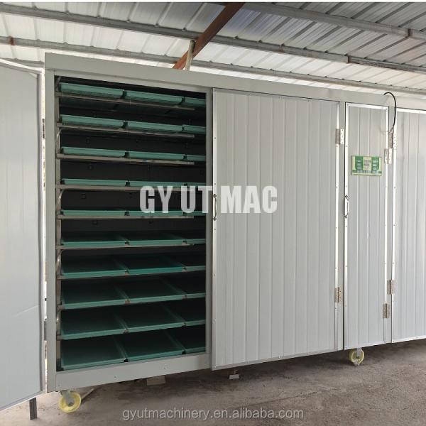 1ton/day Capacity Hydroponic Grass Fodder Growing Machine for Cattle Sheep Green Forage