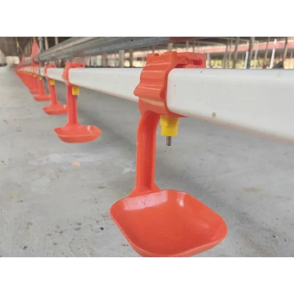 Galvanized Steel Poultry House Equipment with Automatic Control and Customizable Dimensions