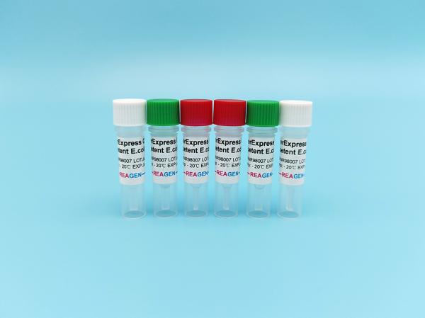 OverExpress C43 Competent E. Coli 48/96 Tests/Kit For PET Series PGEX PMAL Proteins