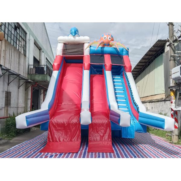 Commercial Outdoor Géant gonflable toboggan à eau Delfine Poulpe dessin animé gonflable double toboggan pour enfants et adultes