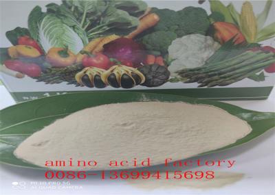 Free Amino Acid 80% Hydrolysed Soy Protein With REACH Registration