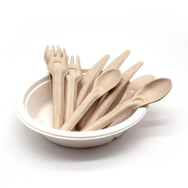 Biodegradable Bagasse Eco Friendly Disposable Cutlery 141.7mm Compostable Forks And Spoons