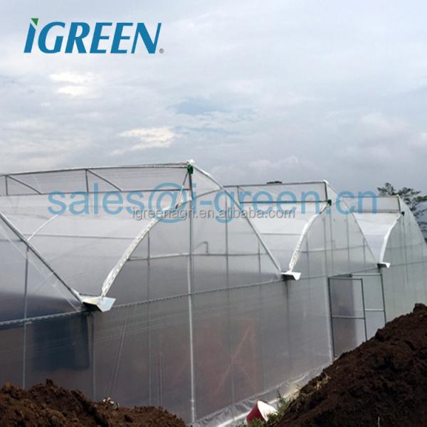 Climate Controlled Agricultural Greenhouse Hot Dipped Galvanized Steel Greenhouse