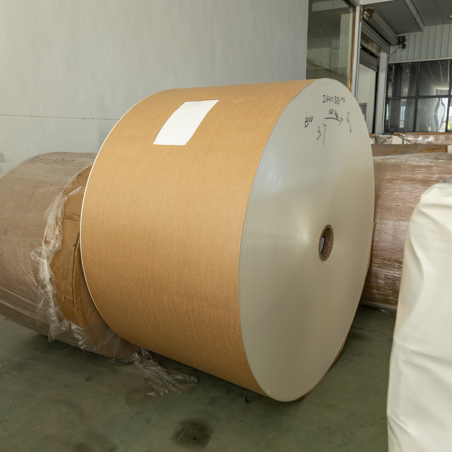 High-Barrier Food-Grade PE Coated Paper Roll with Customizable Grammage for Cup Forming