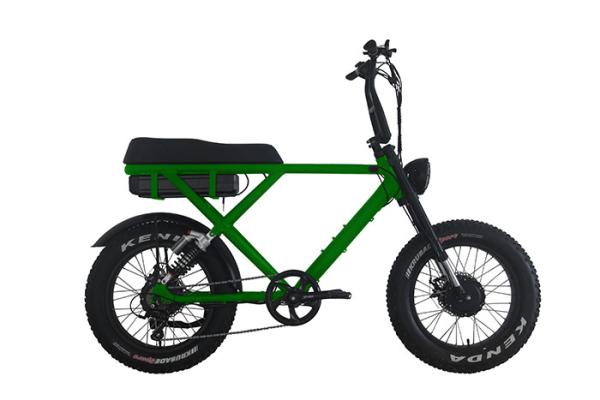 ( OEM Factory ) Shimano 7 Speed Fat Tyre Electric Bikes Dual High Power 2000W Dual 1000W