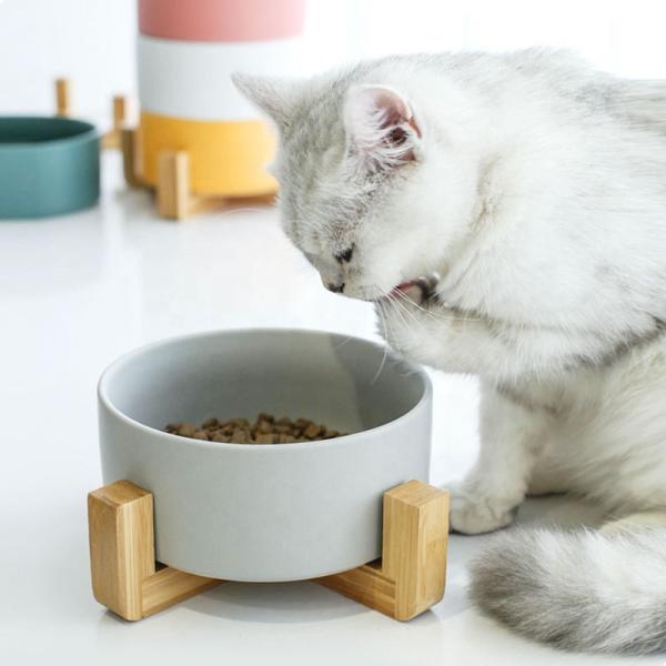OEM ODM Elevated Cat Food Bowls Ceramic Pet Bowl Slow Feeder Dog Bowl Ceramic Dog Bowls Ceramic Cat Bowl