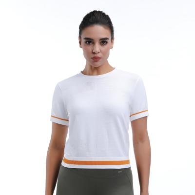 Cropped Mesh Workout Short Sleeve Tops 92% Nylon 8% Spandex