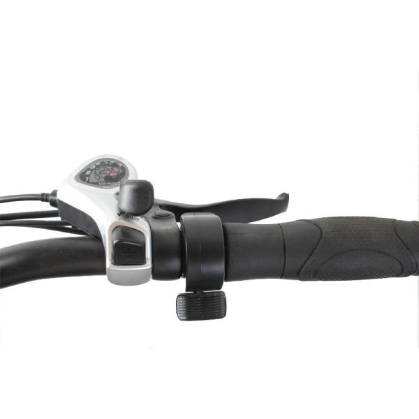 20 Inch 500w Electric Bike 8 Speed Fat Tyre Adult E Bicycle with 2 Seats and Foot Rest