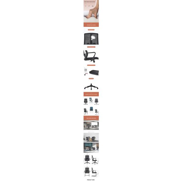 Fixed Armrest Executive Work Office Chair with Stainless Steel and Mesh Ergonomic Design