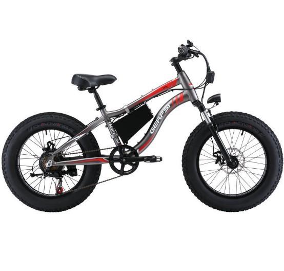Aluminum 20 Inch Fat Tire Electric Bike 750 Watt