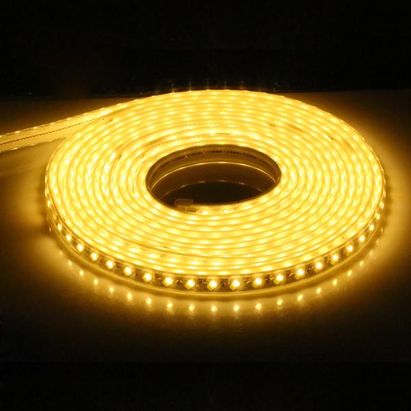 220V 5730 white warm white blue purple Flexible strip lighting led Double row 120chips/m LED strip lights/led light stri