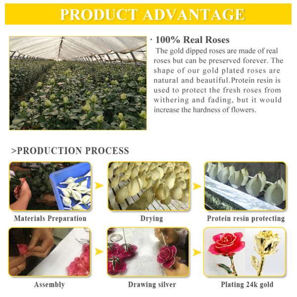 Wholesale  Gold Real Rose 24k Gold Plated Real Natural Rose for Valentine's Day and Christmas Gifts