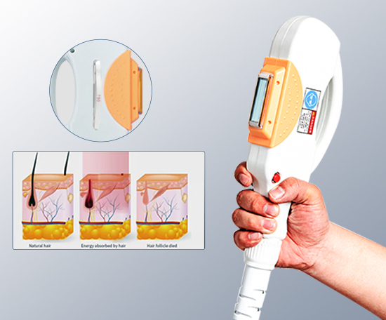 Vertical IPL DPL Hair Removal Machine Multi Wavelength Skin Treatment Platform