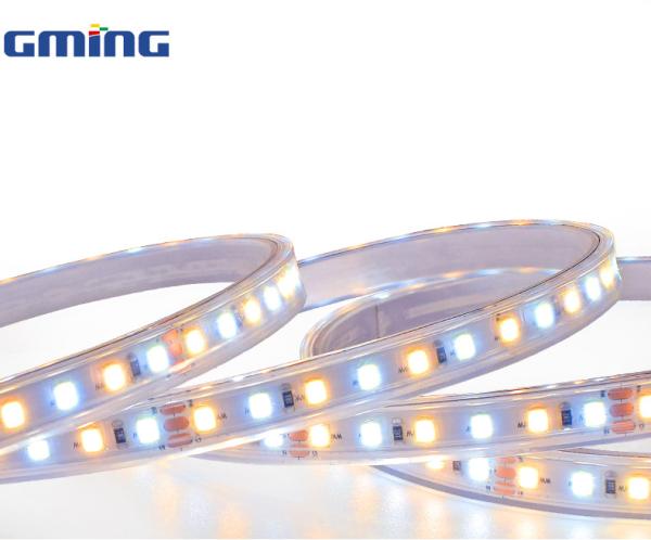 Waterproof IP65 630nm 12W 60leds/m SMD RGB LED Strip Light