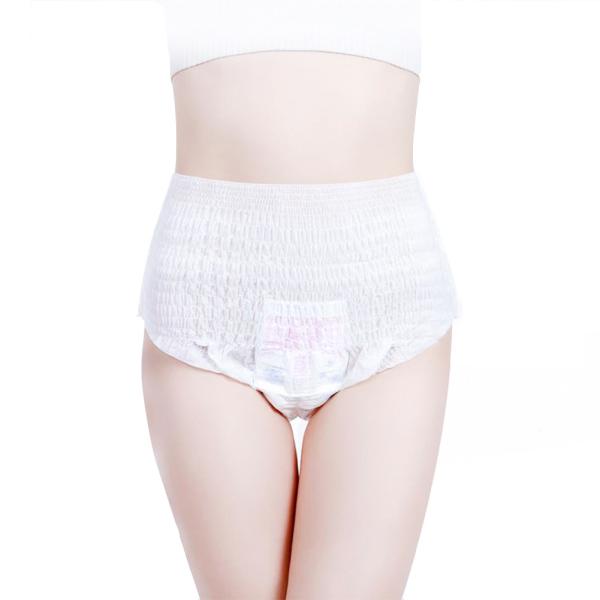 Menstrual Period Sanitary Napkin Panty Waterproof Leak Proof Non Woven Fabric