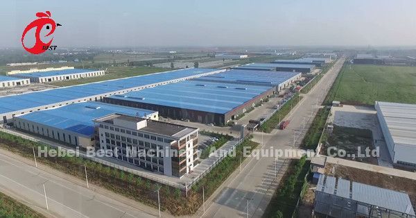 Cage de capas de aves de corral galvanizadas calientes y profundas para 20.000 aves