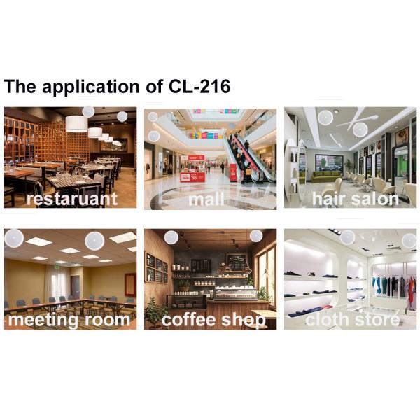 CL-216 ABS Speaker 6-inch 6W High Quality PA System Speaker Passive Speaker