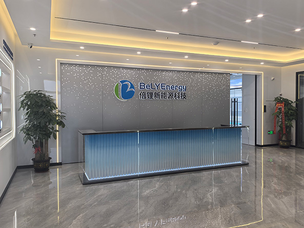 Shenzhen Bely Energy Technology Co., Ltd.