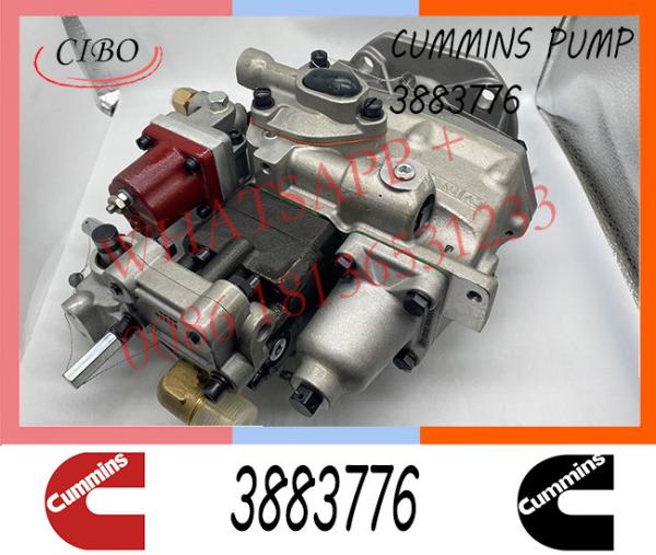 Cummins  NT855 M11 Diesel Engine Fuel Injection Pump 3883776 4951390