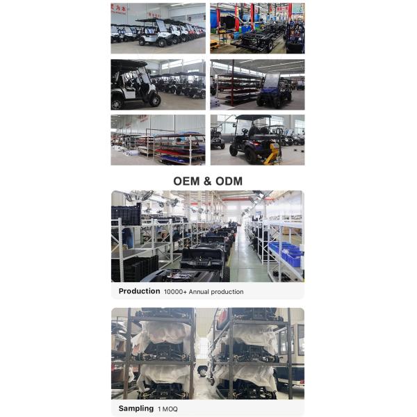 48V LiFePO4 Battery Electric Golf Cart Vehicle Luxury 4 Seater Scooter for Sal