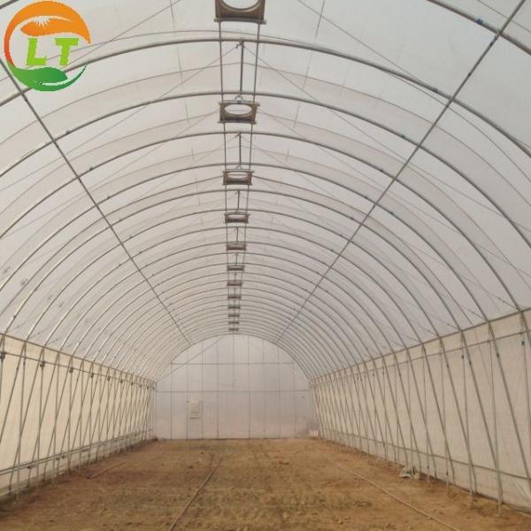 Single-Span Film Tunnels Greenhouse for Agriculture Width 6m/8m/10m/12m/Customized Color