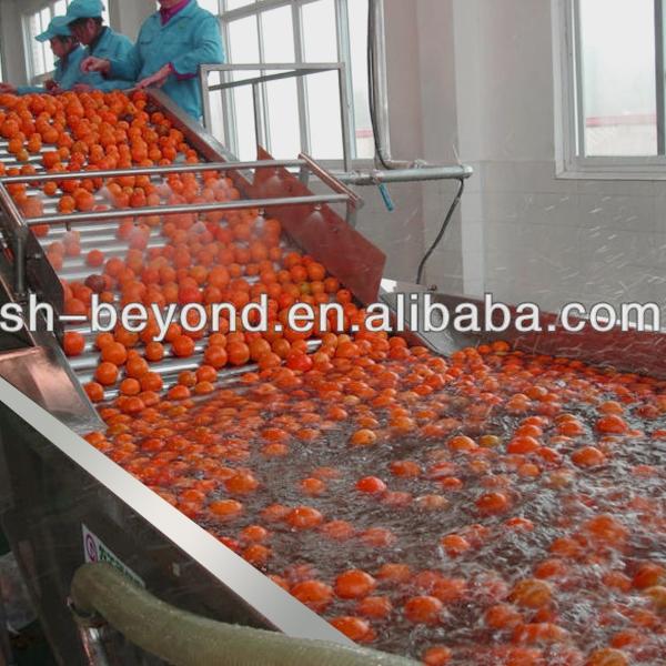 SUS304 SUS316L Fruit Clapboard Elevator Fruit Processing Equipment For Fruit Conveying