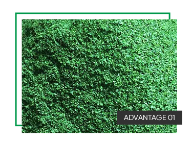 Wholesale High Fiber Aonori Seaweed Ulva Lactuca Powder with 24 Month Shelf Life and Seasoned Taste