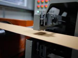 JIAXING VIIPLUS INTERNATIO NAL CO.,LTD