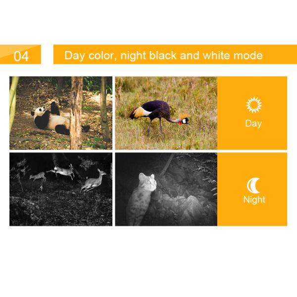 Wifi Infrared Night Vision Trail Camera Hunting 60m Outdoor Security