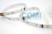 o sinal endereçável das luzes de tira DMX512 do diodo emissor de luz de 24V RGB ou de RGBW DMX Digitas entrou diretamente