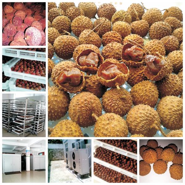 Fruit Drying Machine Heat Pump Full-Effect Dehumidifier Nuts Below 30 Degrees Celsius Dehumidification Adjustable