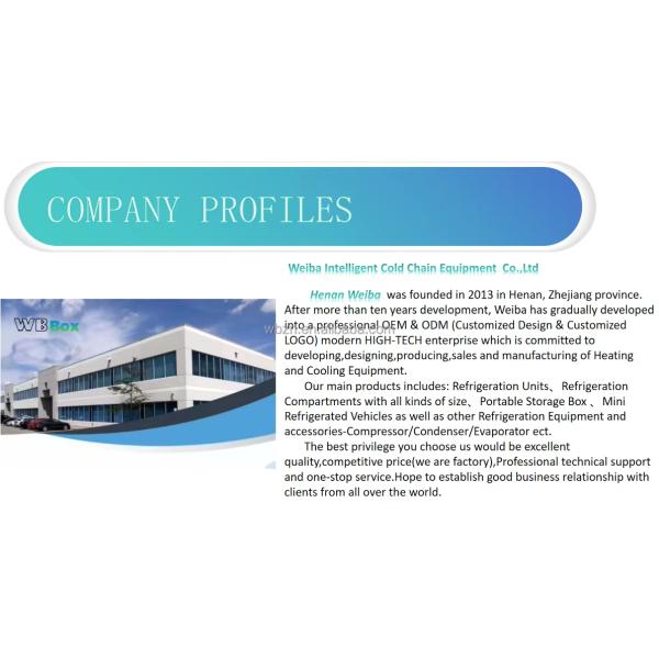 Commercial Snowflake Ice Machine 100kg Storage Capacity Seafood Building Hot Pot Shops Super Ice Station Various Business Needs