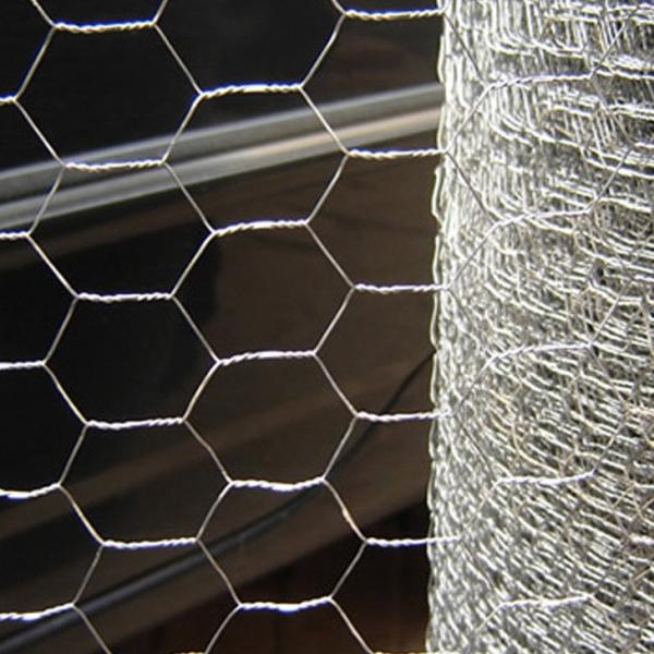 Hexagonal Wire Mesh Roll Poultry Fencing Chicken Coop Galvanized Wire Mesh
