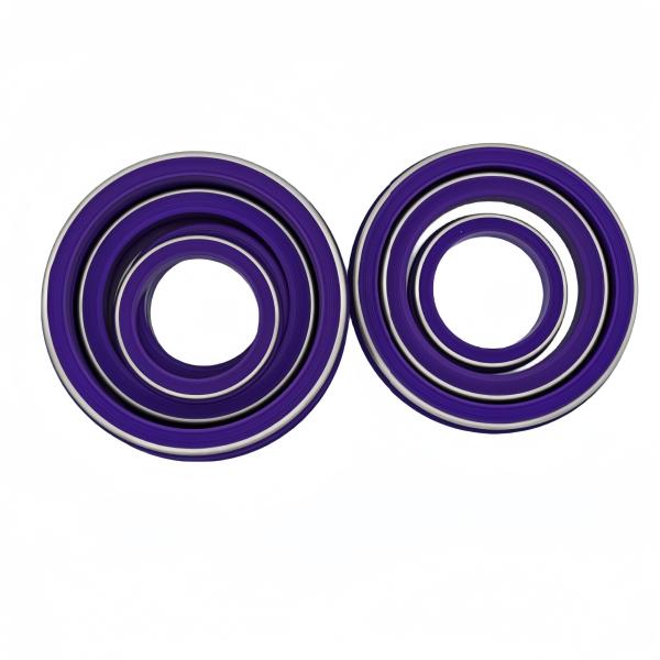 Purple Oil&Heat&Chemical resistant NBR HNBR FKM PTFE Hammer Union Seal With Stainless Back Up