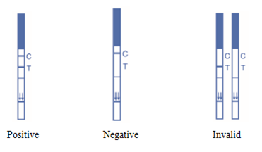 Высокая прокладка диагностического теста ТП шага точности одного (трепонема - паллидум) быстрая. анализ крови