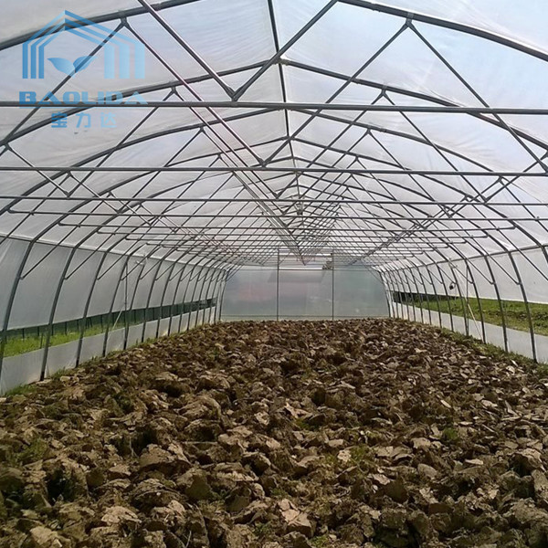 Обрабатывать землю парник тоннеля Singlespan с поливом и Hydroponic растущей системой