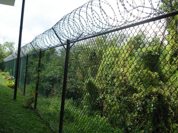Proper Price Top Quality  Galvanized Stainless Steel 2.5 Mm Razor Barbed Wire Barbed Wire Product