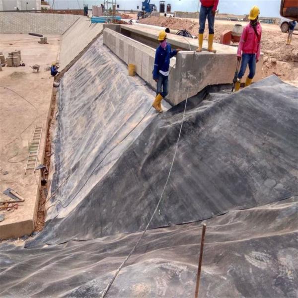 1 мм HDPE Геомембрана Рыбная прудовая подкладка водонепроницаемая прудовая подкладка 0,5 мм Черная Белая Зеленая Голубая