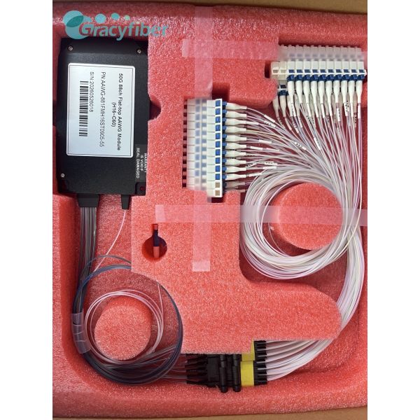 48CH 100GHz Gaussian DWDM AAWG Module | C14-C61 with 1510nm CWDM Port | Low IL ≤3.5dB, LC/UPC | 120x80x18mm ABS for 100G WDM